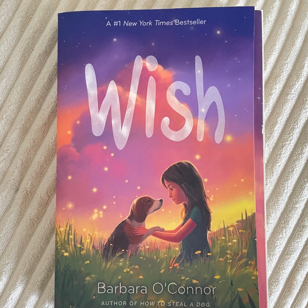 Wish by Barbara O'Connor Book